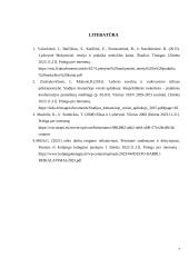 Esminės lyderio savybės 6 puslapis