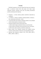 Videokompresija 12 puslapis