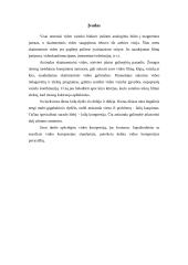 Videokompresija 3 puslapis