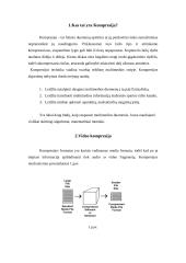 Videokompresija 4 puslapis