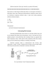 Videokompresija 8 puslapis