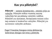 Pilietybės ir piliečio sampratos. Mokinio teisės ir pareigos 2 puslapis