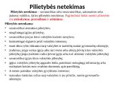 Pilietybės ir piliečio sampratos. Mokinio teisės ir pareigos 13 puslapis