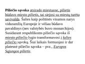 Pilietybės ir piliečio sampratos. Mokinio teisės ir pareigos 3 puslapis