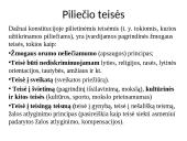 Pilietybės ir piliečio sampratos. Mokinio teisės ir pareigos 4 puslapis
