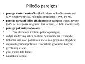 Pilietybės ir piliečio sampratos. Mokinio teisės ir pareigos 5 puslapis