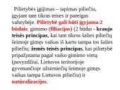 Pilietybės ir piliečio sampratos. Mokinio teisės ir pareigos 7 puslapis