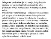 Pilietybės ir piliečio sampratos. Mokinio teisės ir pareigos 9 puslapis