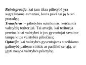 Pilietybės ir piliečio sampratos. Mokinio teisės ir pareigos 10 puslapis