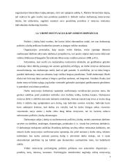 Vidinė darbuotojų motyvacija 6 puslapis
