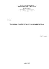 Vieningos Europos konstituciniai pagrindai