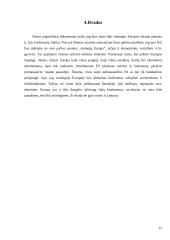 Vieningos Europos konstituciniai pagrindai 13 puslapis