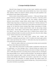 Vieningos Europos konstituciniai pagrindai 5 puslapis