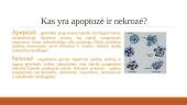 Apoptozė ir nekrozė. Apoptazės eiga ir reikšmė 2 puslapis