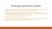 Apoptozė ir nekrozė. Apoptazės eiga ir reikšmė 8 puslapis