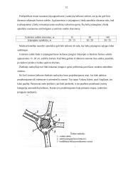 Vieno lygio automobilių kelių sankryžos 12 puslapis