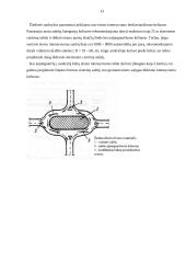 Vieno lygio automobilių kelių sankryžos 13 puslapis