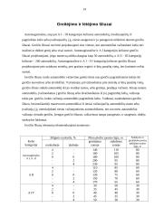 Vieno lygio automobilių kelių sankryžos 14 puslapis