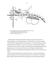 Vieno lygio automobilių kelių sankryžos 18 puslapis