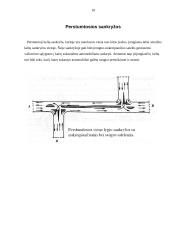 Vieno lygio automobilių kelių sankryžos 10 puslapis