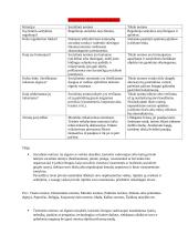 Teisė ir kiti elgesio reguliatoriai. Pasiruošimas koliokviumui 2 puslapis