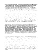 Teisė ir kiti elgesio reguliatoriai. Pasiruošimas koliokviumui 16 puslapis