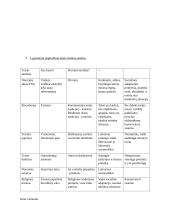 Teisė ir kiti elgesio reguliatoriai. Pasiruošimas koliokviumui 17 puslapis