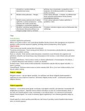 Teisė ir kiti elgesio reguliatoriai. Pasiruošimas koliokviumui 6 puslapis