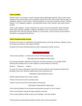 Teisė ir kiti elgesio reguliatoriai. Pasiruošimas koliokviumui 7 puslapis