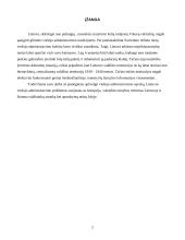 Viešasis administravimas Lietuvoje 2 puslapis