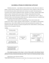 Viešasis administravimas Lietuvoje 7 puslapis