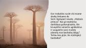 Baobabas 2 puslapis