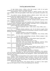 Viešbučių verslas ir vadyba 13 puslapis