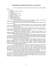 Viešbučių verslas ir vadyba 6 puslapis