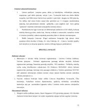 Viešbučio veiklos analizė: "Reval Inn" 12 puslapis