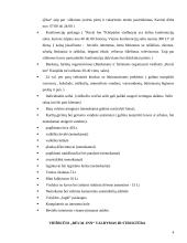Viešbučio veiklos analizė: "Reval Inn" 4 puslapis