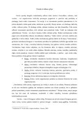 Viešojo administravimo ir verslo etika 7 puslapis