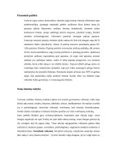 Seno žmogaus depresijos priežastys 3 puslapis