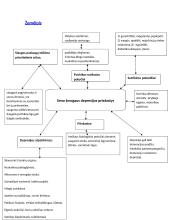 Seno žmogaus depresijos priežastys 6 puslapis