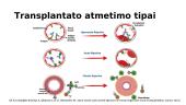 MHC ir transplantato atmetimas 9 puslapis