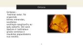 Gintaras – gamtinis polimeras (skaidrės) 4 puslapis