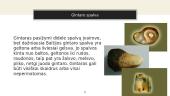 Gintaras – gamtinis polimeras (skaidrės) 6 puslapis