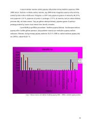 Vilniaus miesto savivaldybės biudžeto sudarymas ir vykdymas 16 puslapis