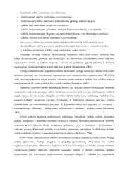 Organizacinės kultūros ir vertybių tyrimas Šiaulių apskrities valstybinėje mokesčių inspekcijoje  10 puslapis