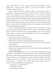 Organizacinės kultūros ir vertybių tyrimas Šiaulių apskrities valstybinėje mokesčių inspekcijoje  11 puslapis