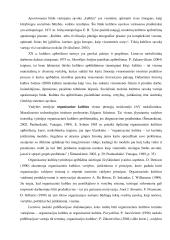 Organizacinės kultūros ir vertybių tyrimas Šiaulių apskrities valstybinėje mokesčių inspekcijoje  16 puslapis