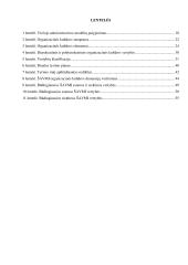 Organizacinės kultūros ir vertybių tyrimas Šiaulių apskrities valstybinėje mokesčių inspekcijoje  2 puslapis