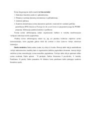 Organizacinės kultūros ir vertybių tyrimas Šiaulių apskrities valstybinėje mokesčių inspekcijoje  6 puslapis