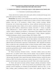 Organizacinės kultūros ir vertybių tyrimas Šiaulių apskrities valstybinėje mokesčių inspekcijoje  7 puslapis