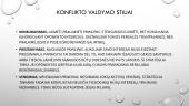Skaidrės. Konfliktai ir jų valdymo būdai 10 puslapis